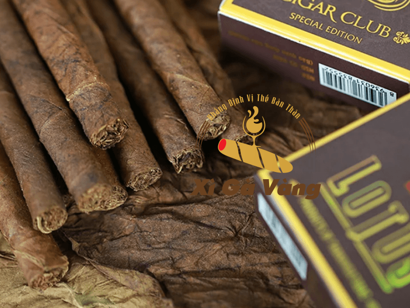 Lotus Club trải qua quy trình sản xuất nghiêm ngặt